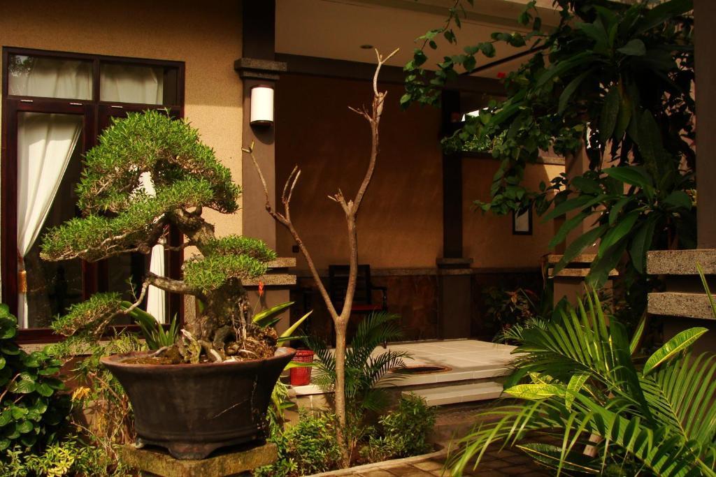 Doubleyou Homestay Pemuteran Dış mekan fotoğraf